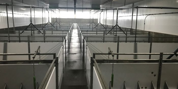 Reinigen biggenhokken [pb-city]