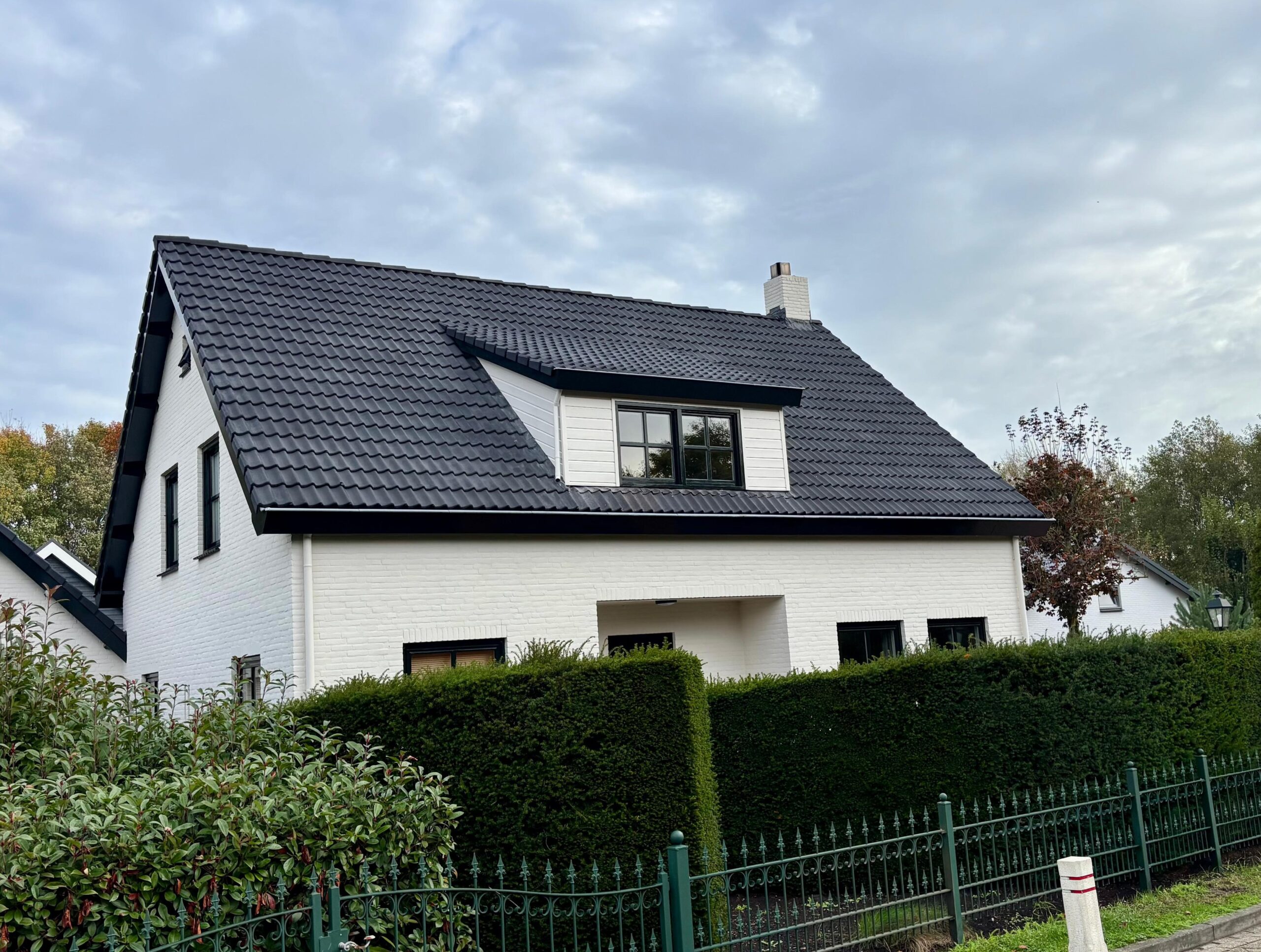 Dak reinigen en coaten - Halsteren